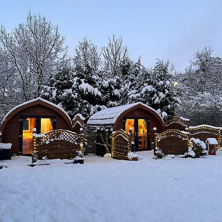 Conifer Cabins Fort William Exterior photo